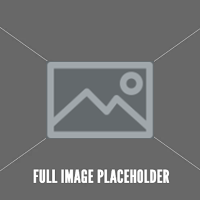 預設資料