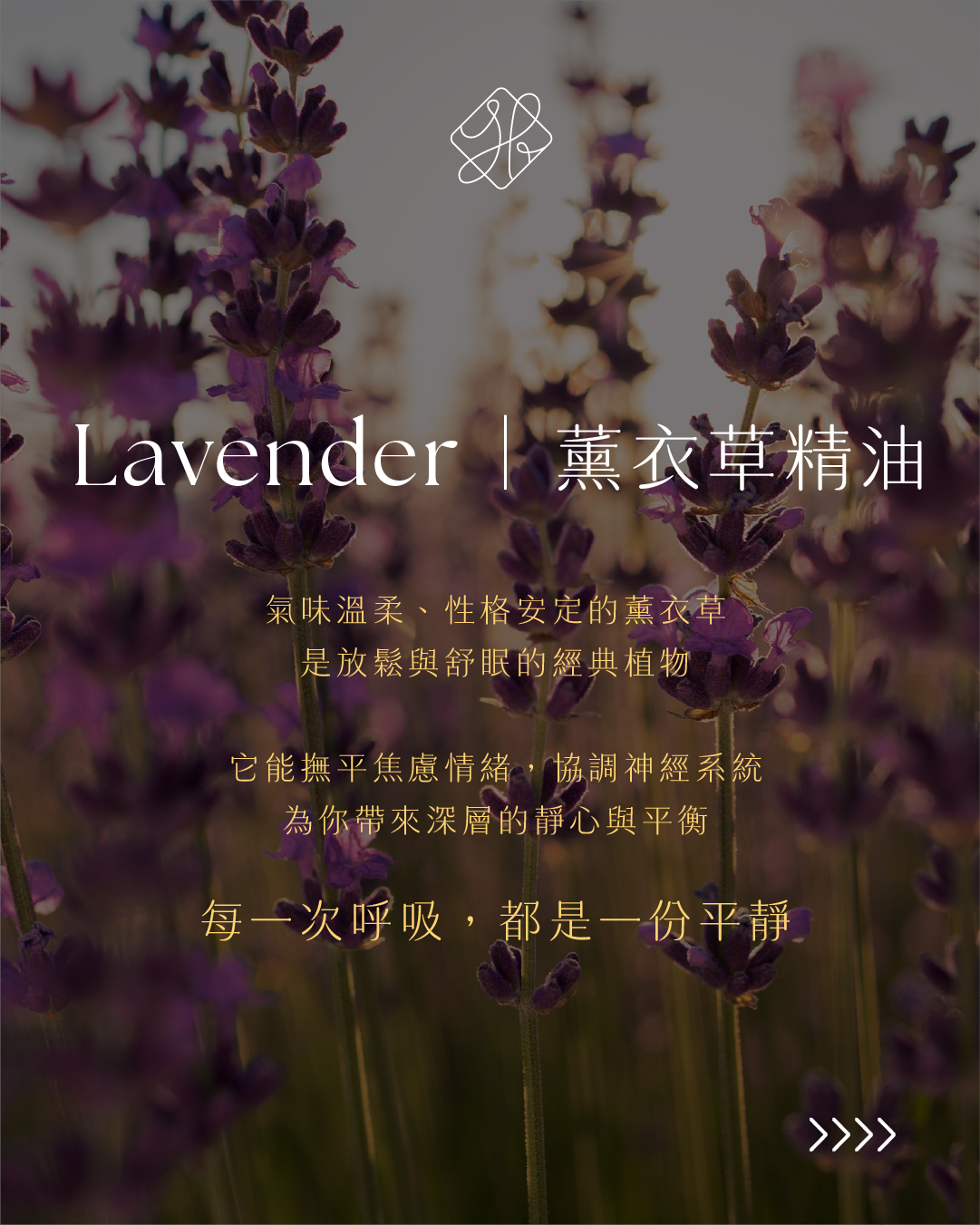 Why Can _Palo Santo Purify_02 _TW