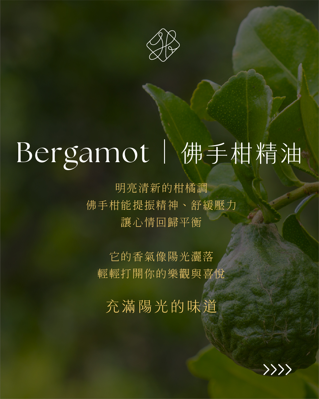 Why Can _Palo Santo Purify_03_TW