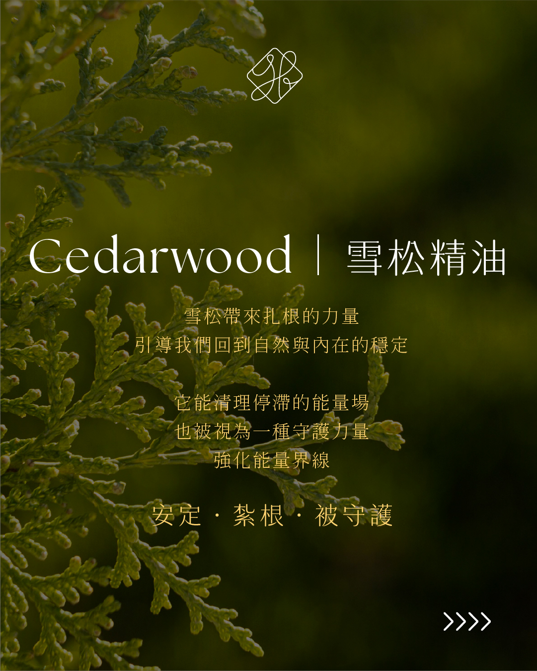 Why Can _Palo Santo Purify_04_TW