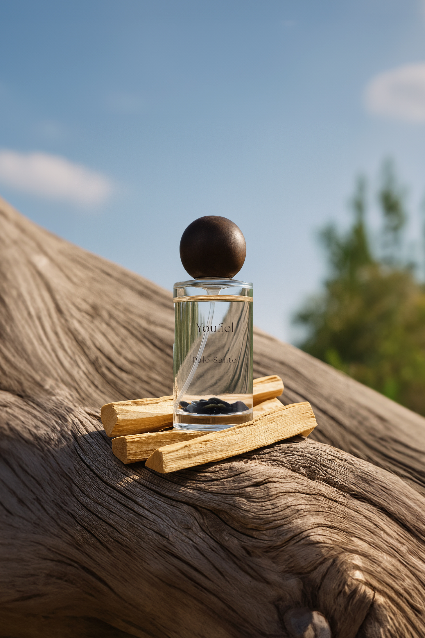 聖木噴霧情境_直式